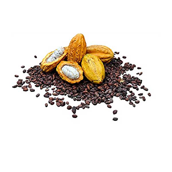 Cacao-Seeds