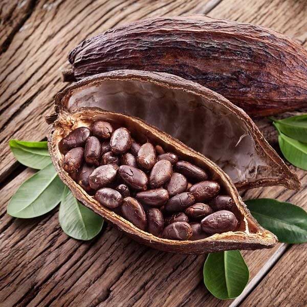 Cacao