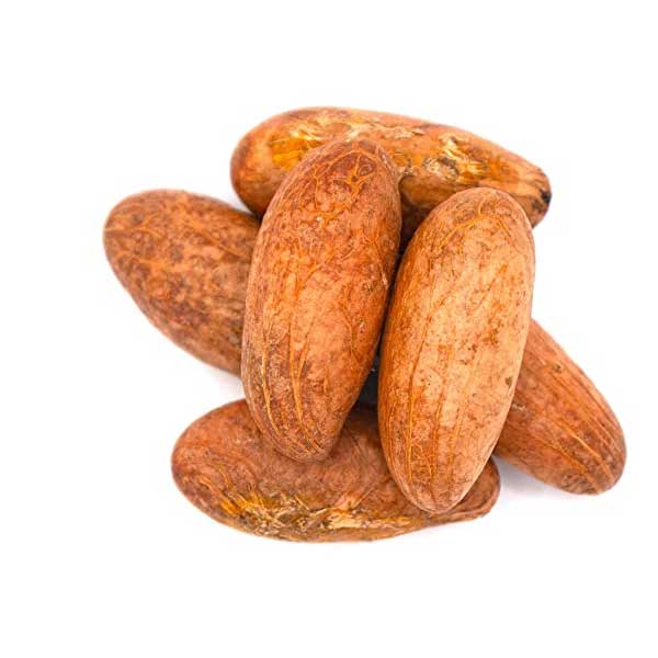 Kola-Nuts